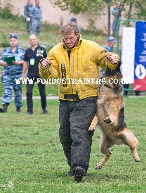 schutzhund dog training